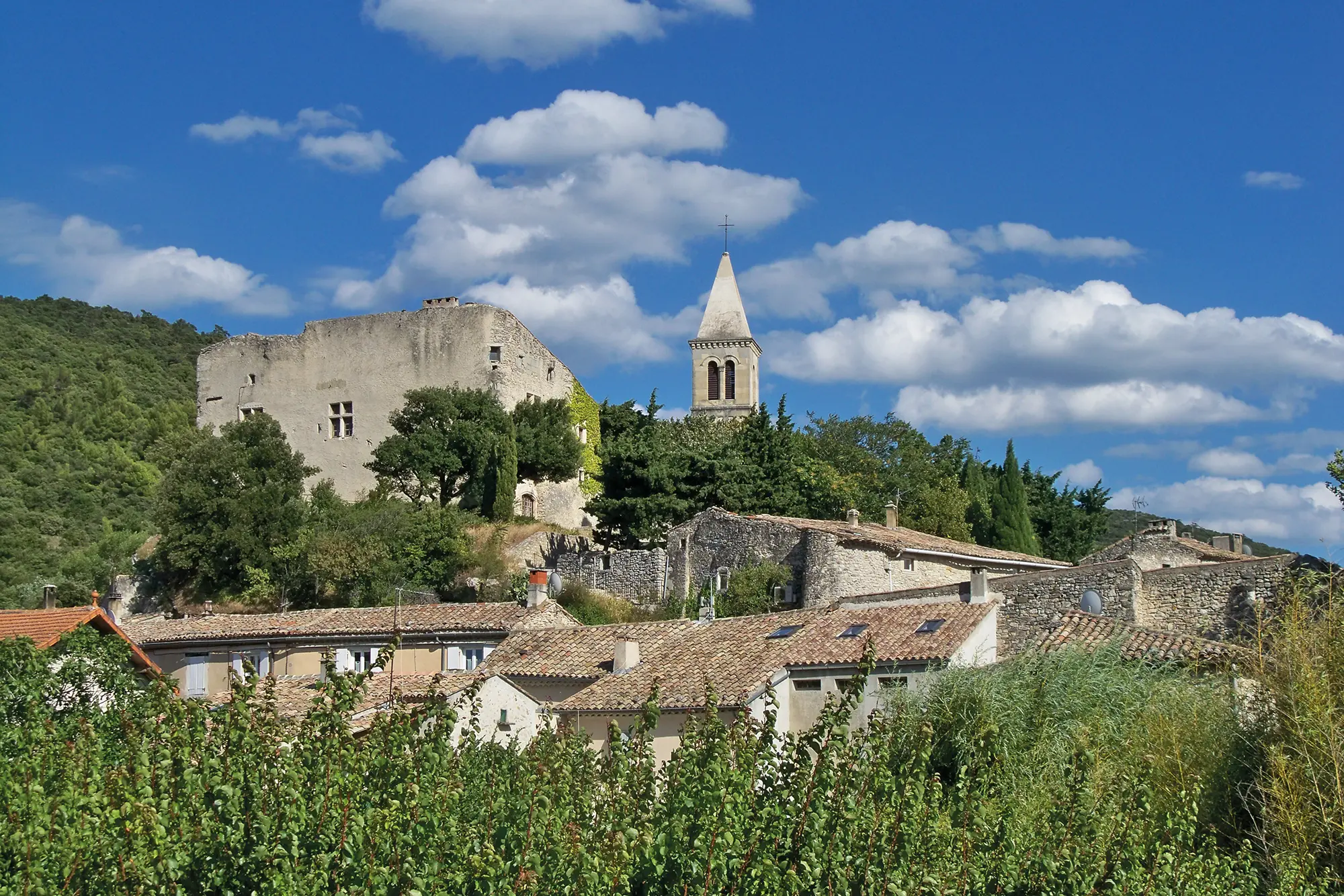 Léguer à ma commune en Maine-et-Loire